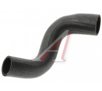 Патрубок CHEVROLET Aveo (06-) (1.4 DOHC) радиатора нижний BSG