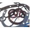 Прокладка двигателя CHEVROLET Aveo (03-08),Lacetti (03-08) комплект NSP